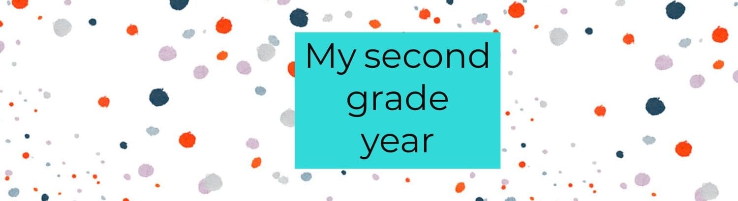 Lincoln's Year in 2nd Grade